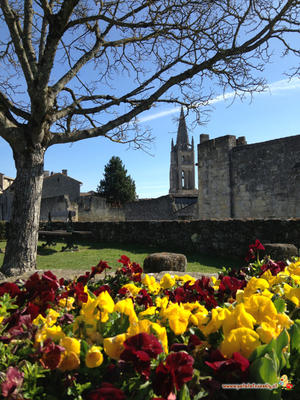 Pic nic in Francia