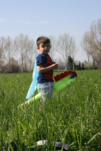 Un cavaliere sul suo cavallo